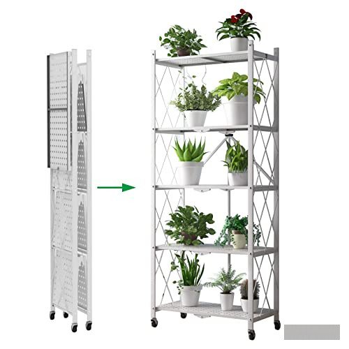 41eqpxyy1ol Product image 1877