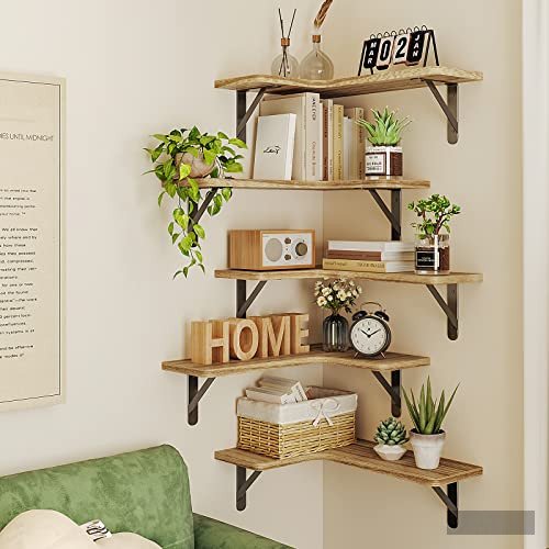 51ankxzqbkl Product image 551